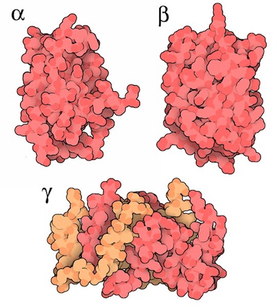 Three types of interferon.