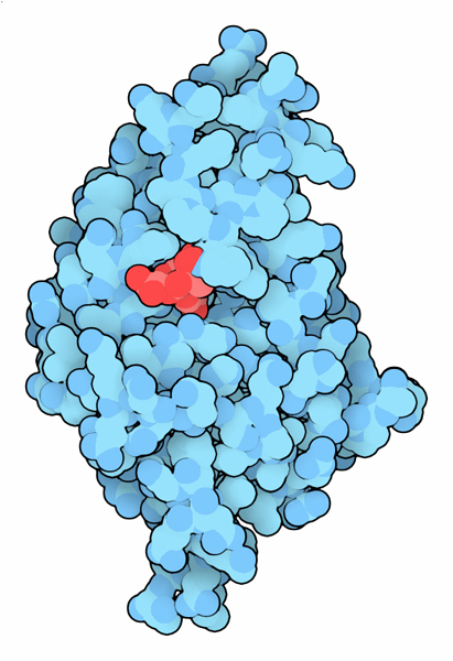 Carbapenemase KPC-2 with inhibitor (red).